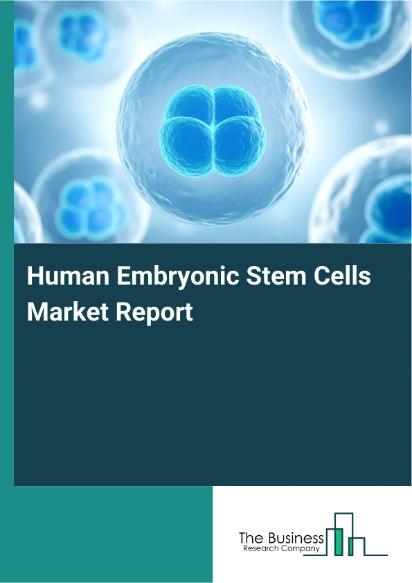 Human Embryonic Stem Cells Market Share, Trends Report 2026-2030