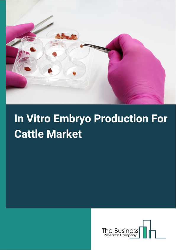 In Vitro Embryo Production For Cattle Market Growth Report 2026