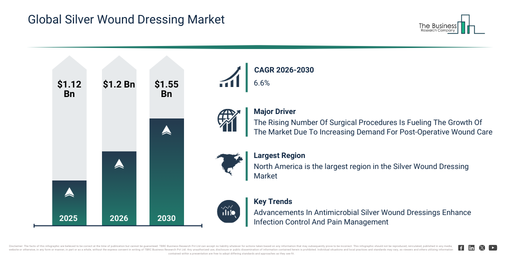 silver wound dressing market Silver Wound Dressing Market Size, Share, Growth |CAGR of 4.8%